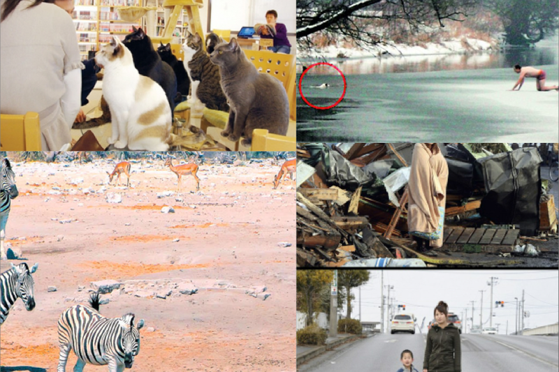 Faze tari, Foto: Colaj foto