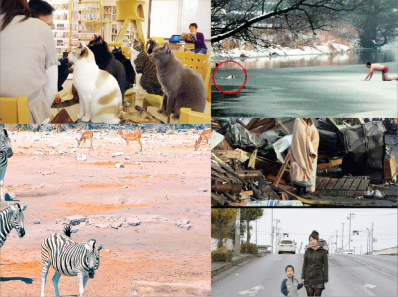 Faze tari, Foto: Colaj foto