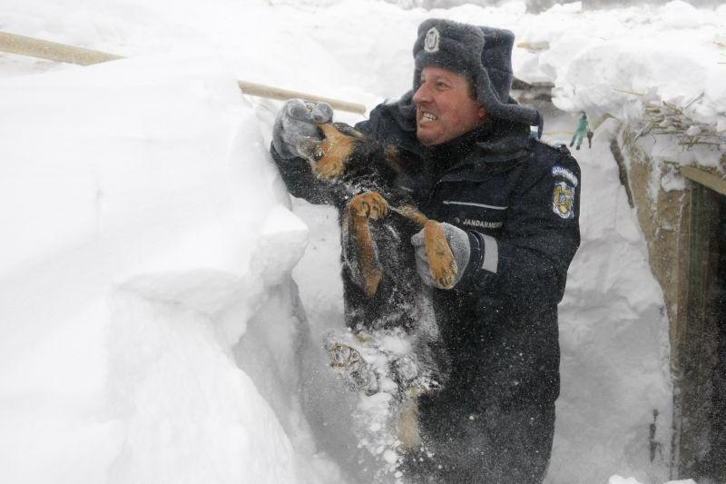 Jandarm la interventia din Movila Oii, Foto: www.tolo.ro