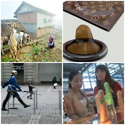 Faze tari, Foto: Colaj foto