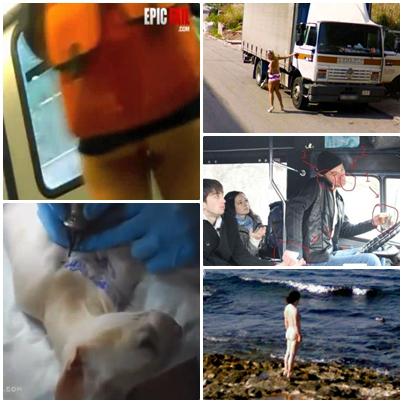 O lume nebuna, Foto: Colaj foto