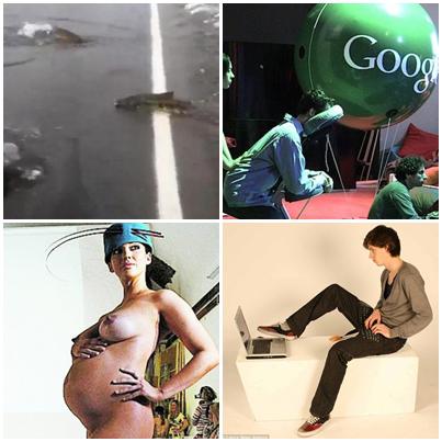 Faze tari, Foto: Colaj foto