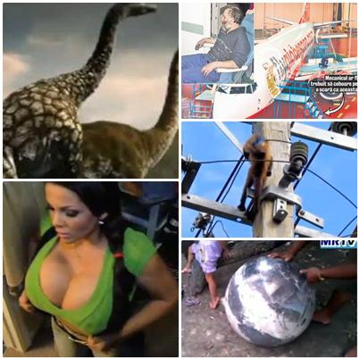 O lume nebuna, Foto: Colaj foto