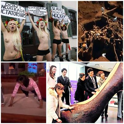 Faze tari, Foto: Colaj foto