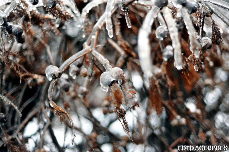 Freezing rain (Herastrau, 2010), Foto: Agerpres
