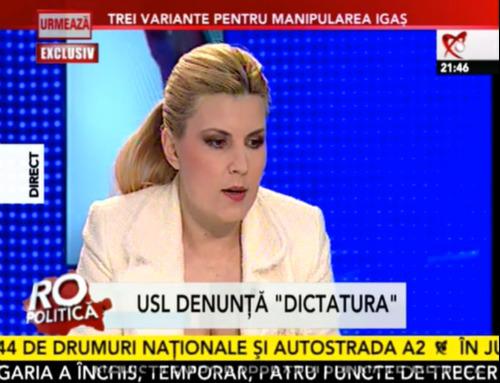 Elena Udrea, Foto: Captura Realitatea TV