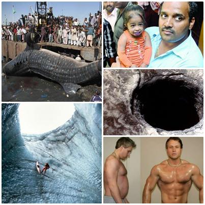 O lume nebuna, Foto: Colaj foto