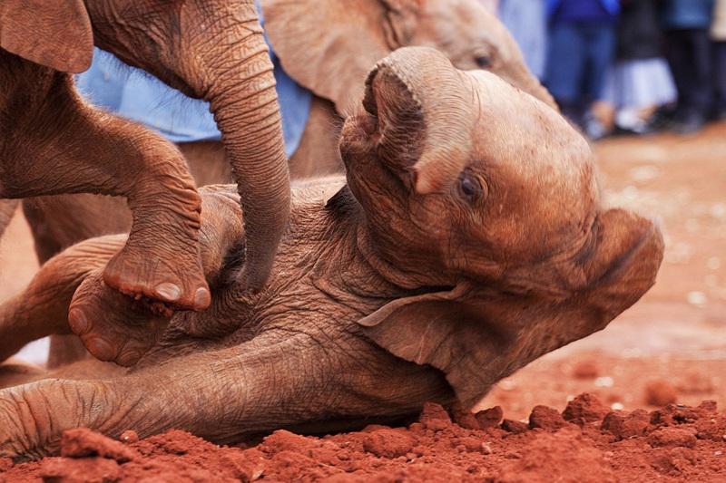 Nairobi, Kenia, Foto: Sorin Ifrim
