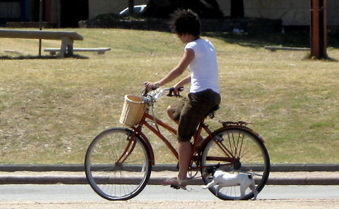 Ce muschi folosim cand mergem pe bicicleta, Foto: MorgueFile.com