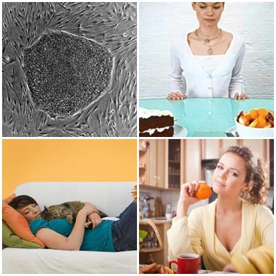 Utile, Foto: Colaj foto