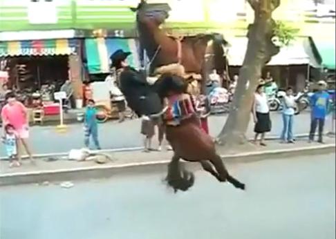 Pegas?, Foto: Trilulilu