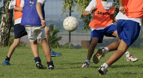 Daca esti in echipa castigatoare ai mai putine sanse sa te accidentezi la fotbal, Foto: MorgueFile.com