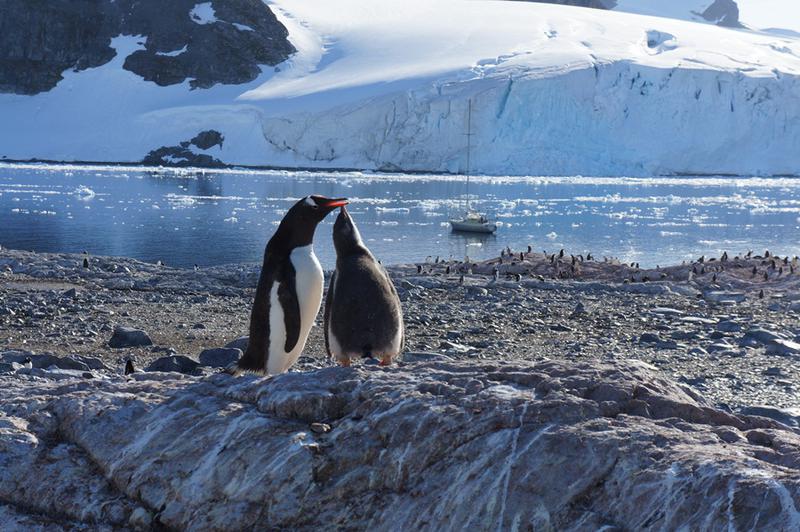 Antarctica, Foto: feher.wordpress.com