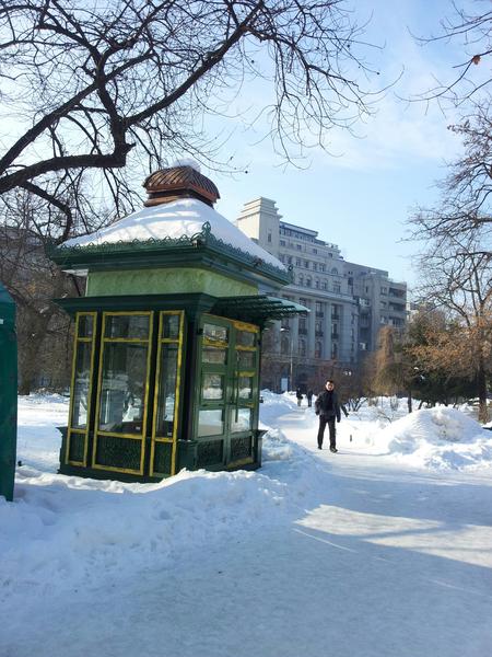 Chioscul pagoda din Cismigiu, Foto: Hotnews
