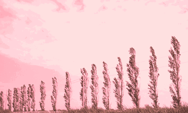 Intr-o zi..., Foto: Arhiva personala