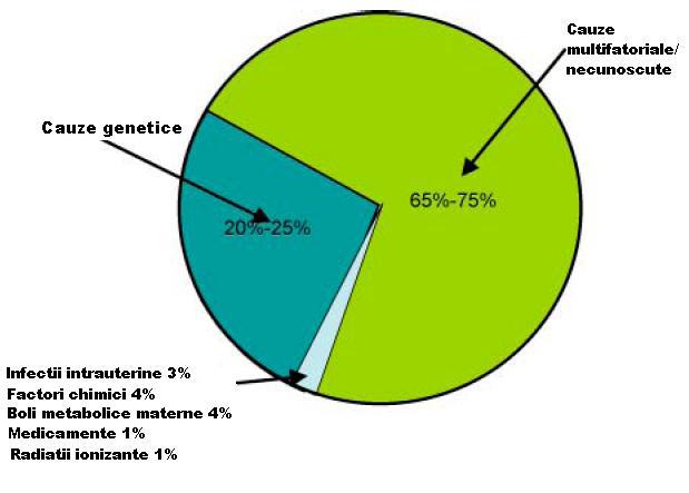 Cauzele malformatiilor congenitale, Foto: MedLife