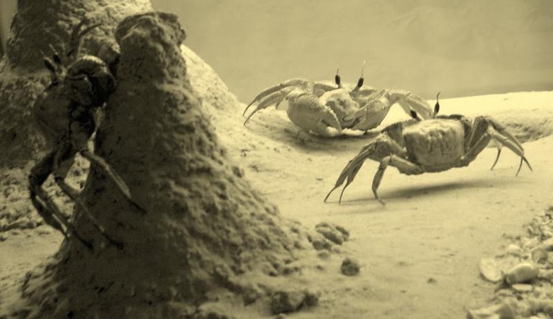 O romanca, finalista a concursului de fotografie dedicat studentilor, Foto: Google