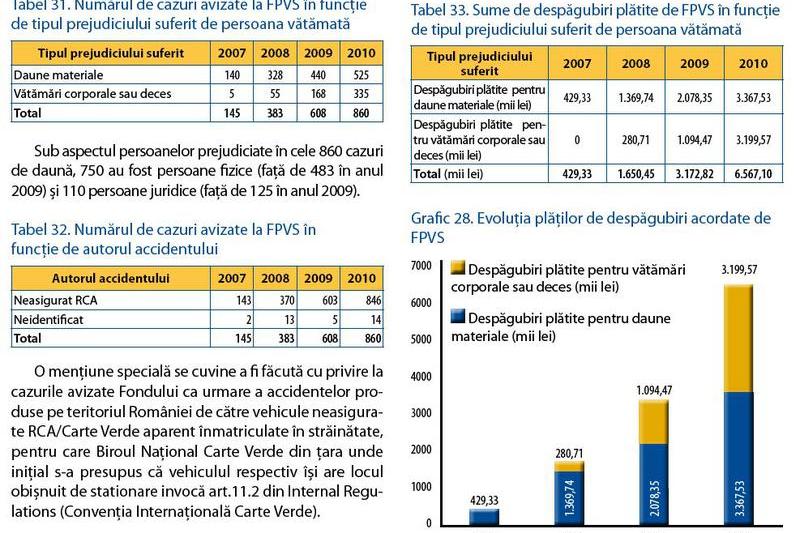 FPVS in cifre, anul 2010, Foto: CSA