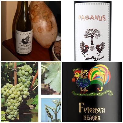 Sub zodia cocosului, Foto: Hotnews