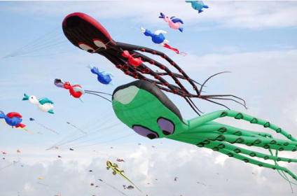 kiting, Foto: blackseakitefestival.ro