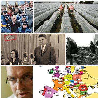 Subiectele Zilei, Foto: Colaj foto