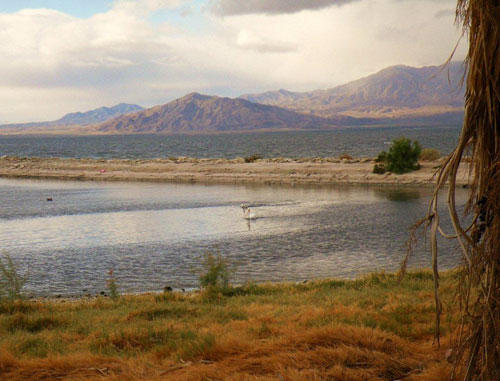 Marea Salton, Foto: Salton Sea Authority http://www.saltonsea.ca.gov