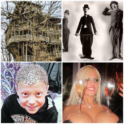 Faze tari, Foto: Colaj foto