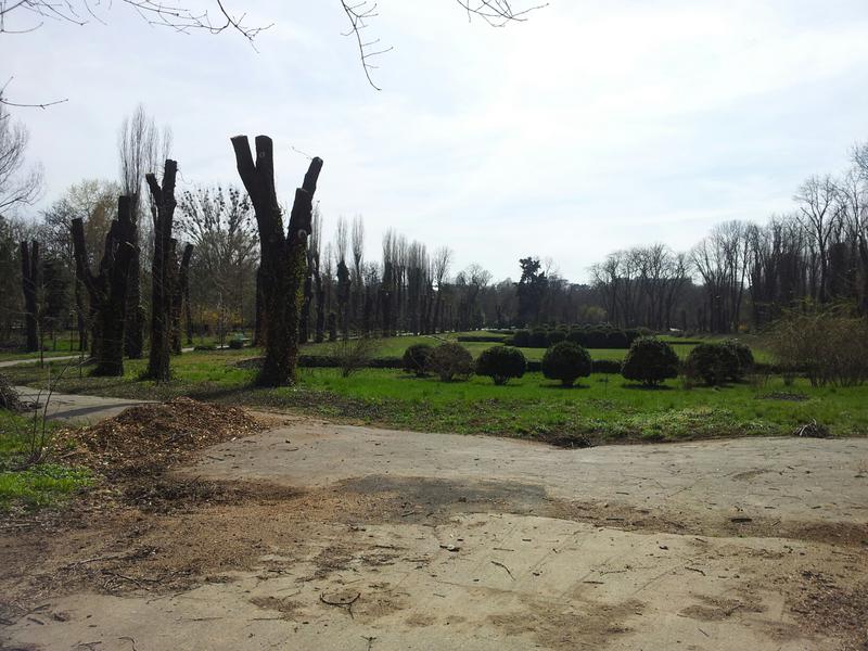 Castani Gradina Botanica, Foto: Hotnews