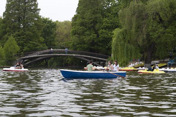 Plimbari pe Lacul Herastrau, Foto: ALPAB