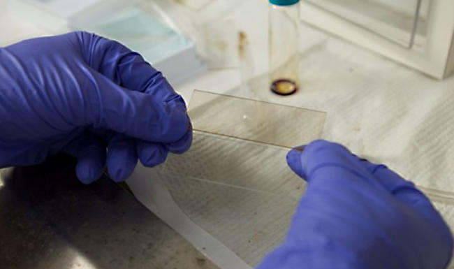 Cercetarea americana ar putea duce la inlocuirea panourilor solare clasice , Foto: Dietmar Quistorf / News USC