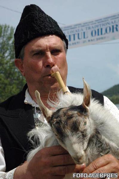 Intarcatul mieilor, Foto: Agerpress