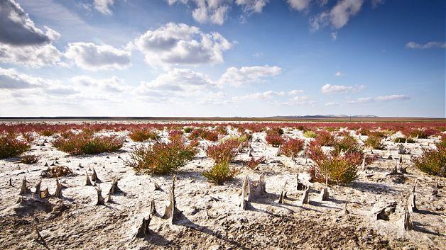 Saratura Plopu, Tulcea, Romania, Foto: Constantin Barbu