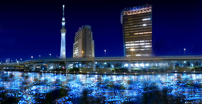 Raul Sumida, luminat de 100.000 de LED-uri, Foto: Tokyo Hotaru