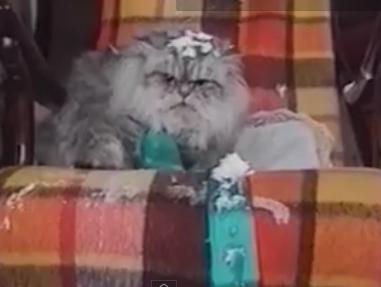 Distrusa de alcool, Foto: Captura YouTube