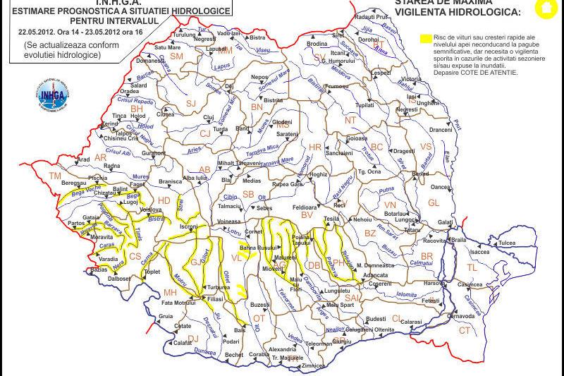 Cod galben, Foto: INHGA