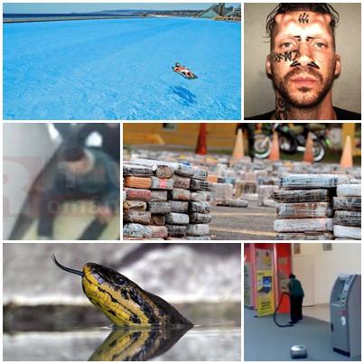 FAZE TARI, Foto: Colaj foto