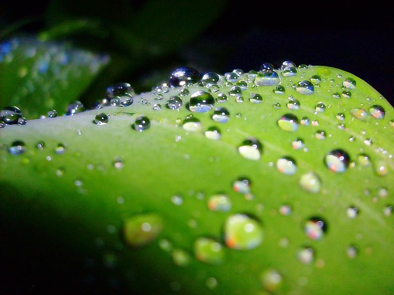 Close up, Foto: Aura Manole