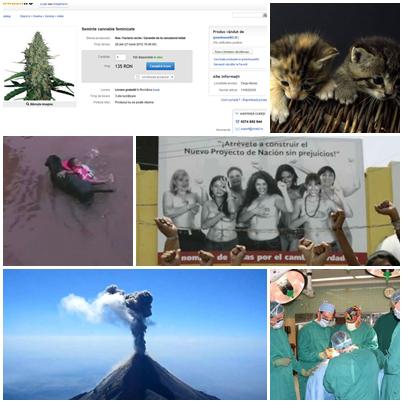 FAZE TARI, Foto: Colaj foto