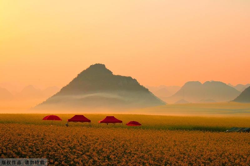 Situat in estul regiunii Yunnan, Luoping este unul dintre primele locuri din China in care rapita infloreste, Foto: China.org.cn