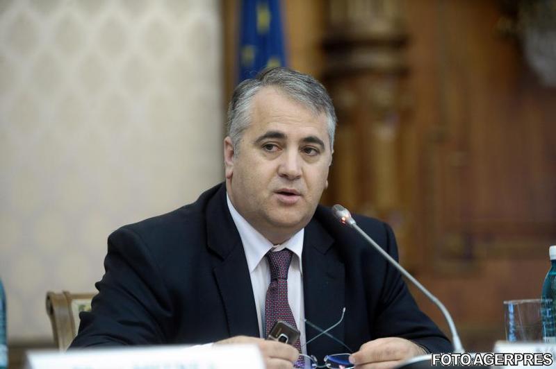Viorel Badea, Foto: Agerpres