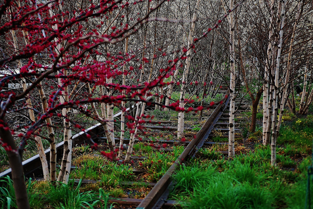 The High Line, Foto: Thehighline.org