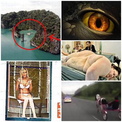 O lume nebuna, Foto: Colaj foto