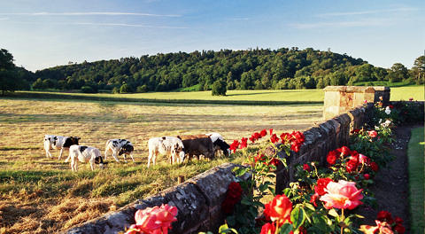 Viata la tara, Foto: MorgueFile.com