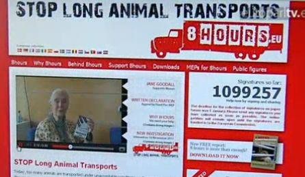 Initiativa, Foto: ec europa.eu