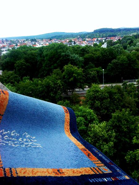 Covor zburator prin Germania, Foto: Dani Rockhoff