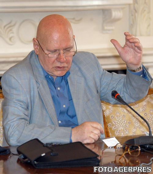 Razvan Theodorescu, Foto: Agerpres