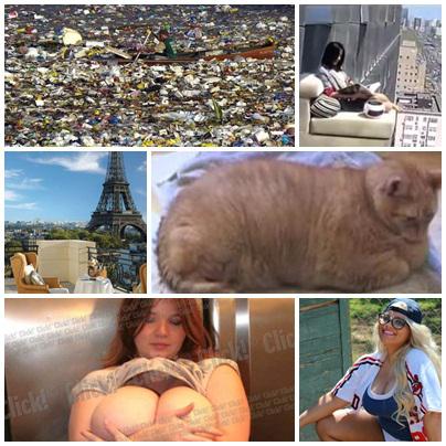 FAZE TARI, Foto: Colaj foto