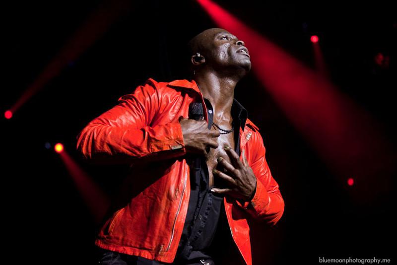 Seal, Foto: bluemoonphotography.me