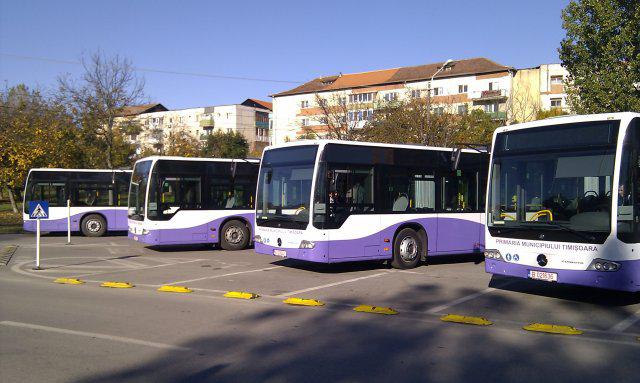 Autobuze RATT, Foto: OpiniaTimisoarei.ro