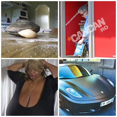 Faze tari, Foto: Colaj foto